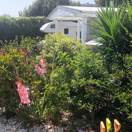Hahei Getaway Apartment Ngoại thất bức ảnh